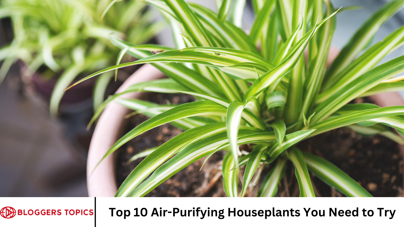 Top 10 Air-Purifying Houseplants You Need to Try