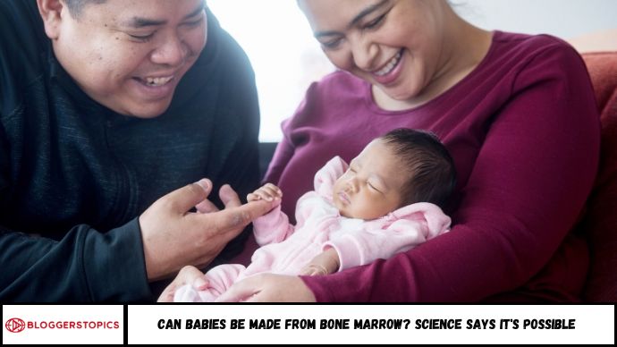 Babies from Bone Marrow? Science Says It's Possible