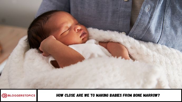 How Close Are We to Making Babies from Bone Marrow?